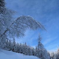 Tanta neve alla Leretta!!!!   qui due itinerari in zona Racchette da neve: https://www.monterosaoutdoor.it/itinerari/alpe-leretta/    scialpinismo:  https://www.monterosaoutdoor.it/itinerari/plan-du-juc/